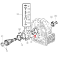 R161741a.png