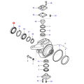 V31800500a.png