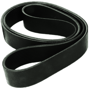 PASEK WIELOROWKOWY 12PK1915