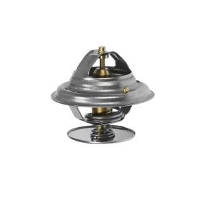 TERMOSTAT MASSEY FERGUSON V836666334