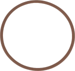 ORING WAŁKA WOM CASE NEW HOLLAND