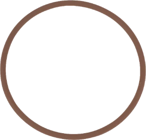 ORING WAŁKA WOM CASE NEW HOLLAND