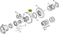 6005022083a.png