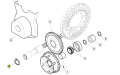 6005019017a.png
