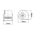 AL215704a.png